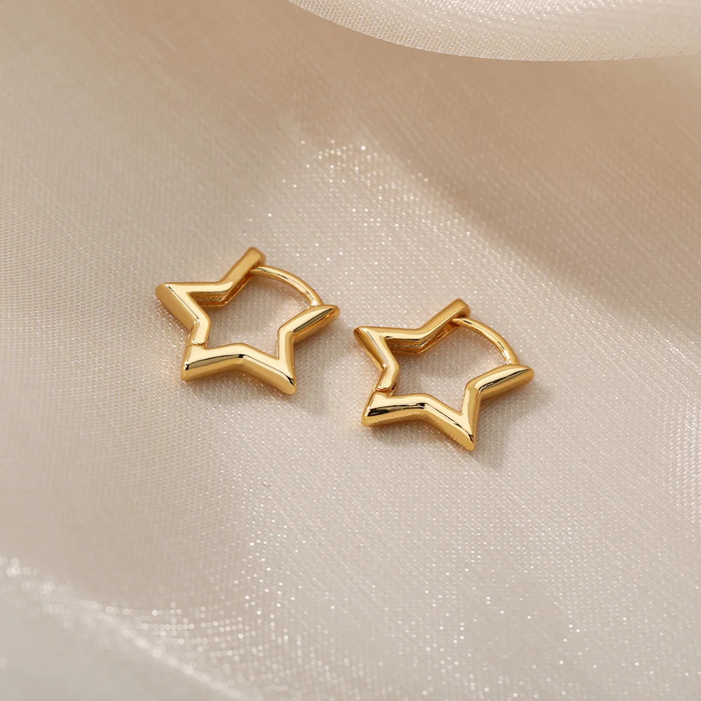 Minimal Style Luxury Earrings