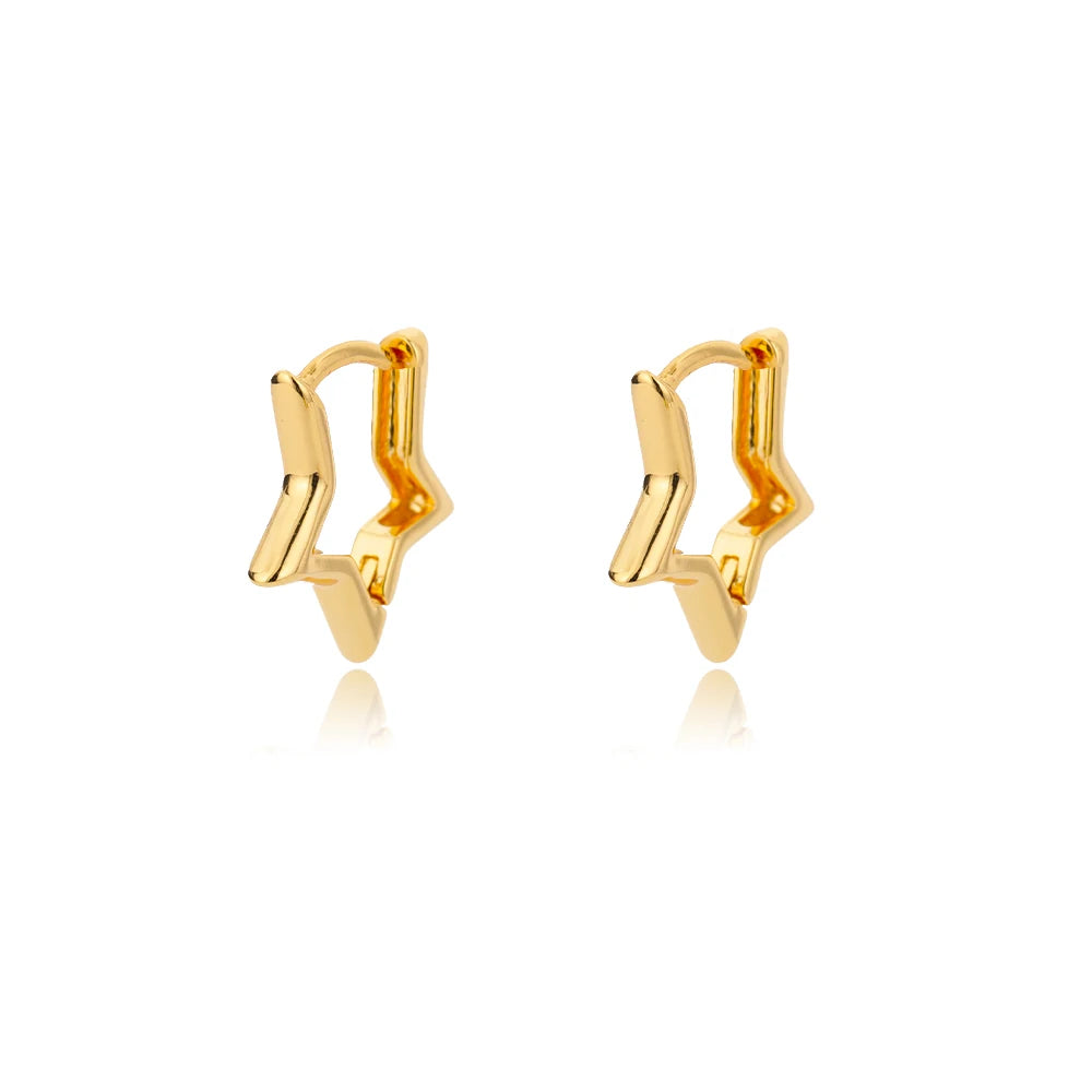 Minimal Style Luxury Earrings