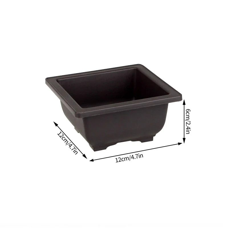 Bonsai Pot Trays Planter