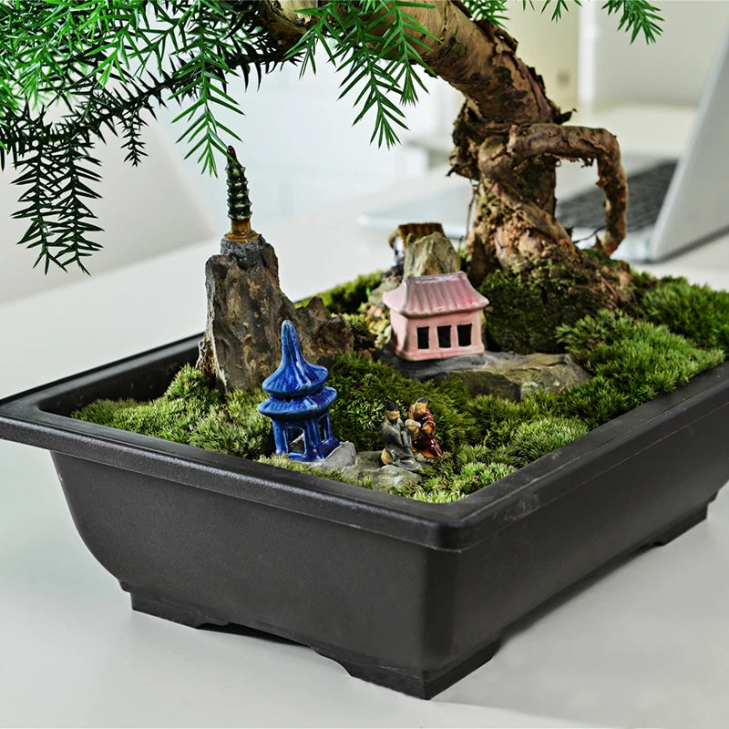 Bonsai Pot Trays Planter