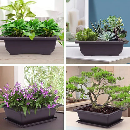 Bonsai Pot Trays Planter