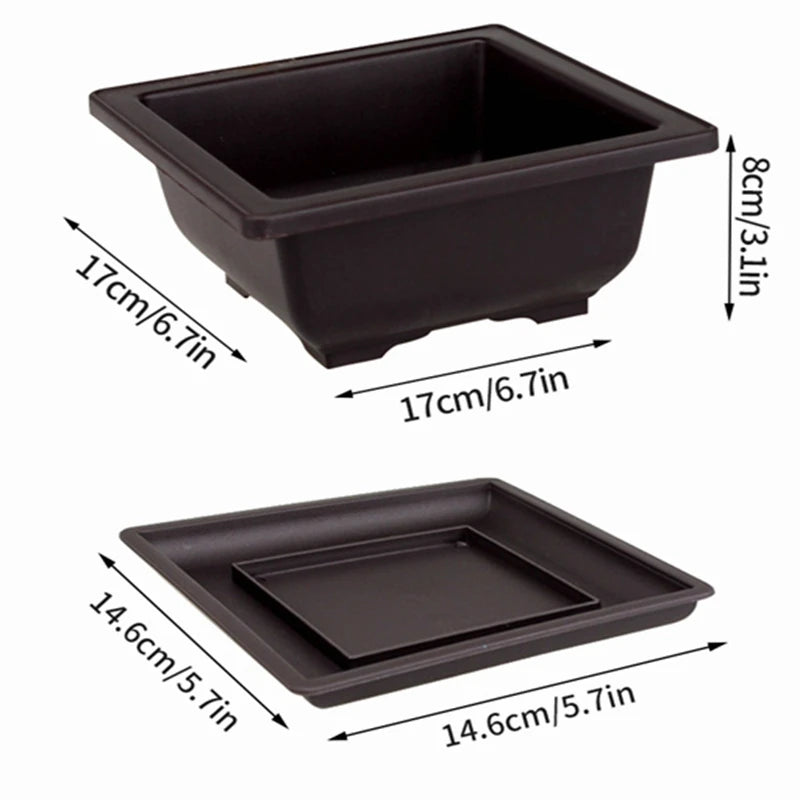 Bonsai Pot Trays Planter