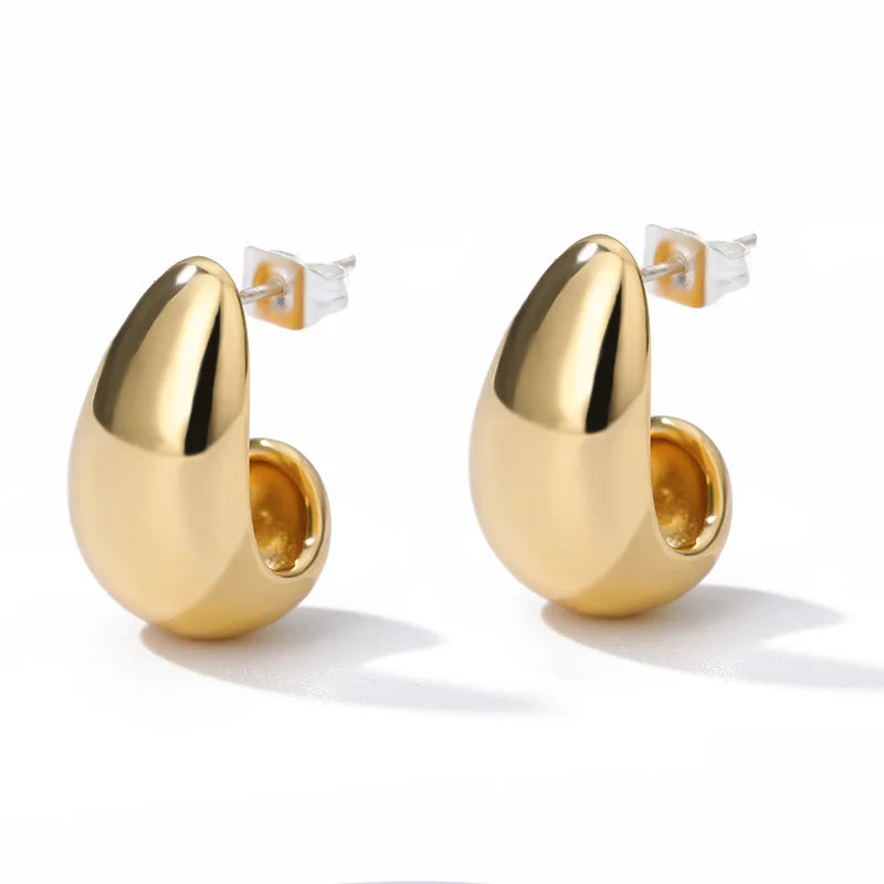 Minimal Style Luxury Earrings