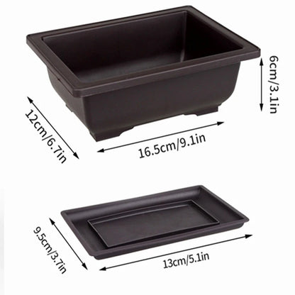 Bonsai Pot Trays Planter