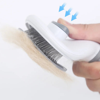 Pet Hair Removal Brush