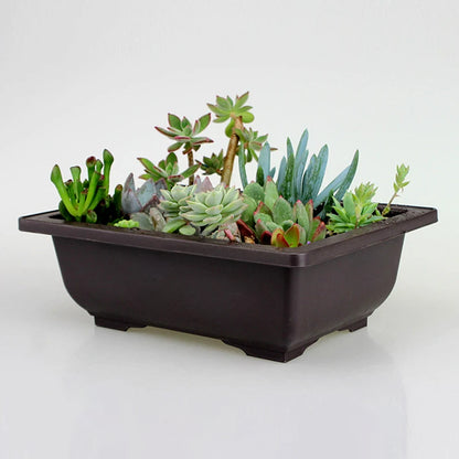 Bonsai Pot Trays Planter