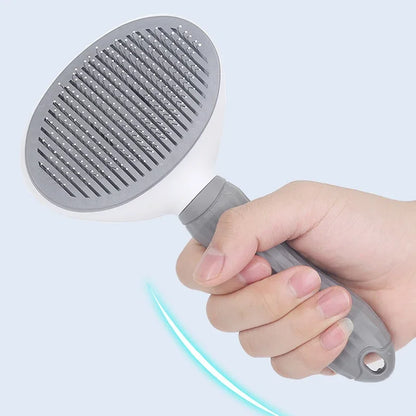 Pet Hair Removal Brush