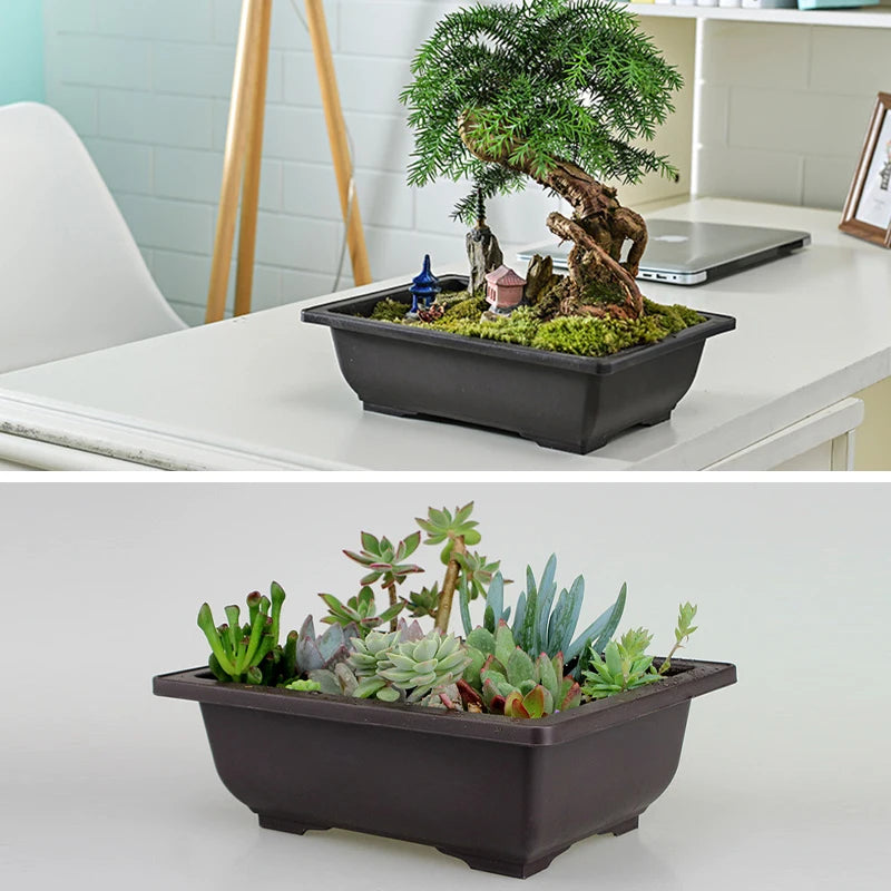 Bonsai Pot Trays Planter