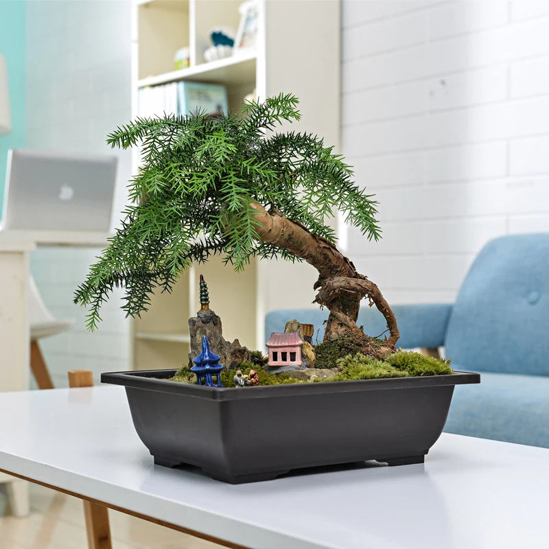 Bonsai Pot Trays Planter