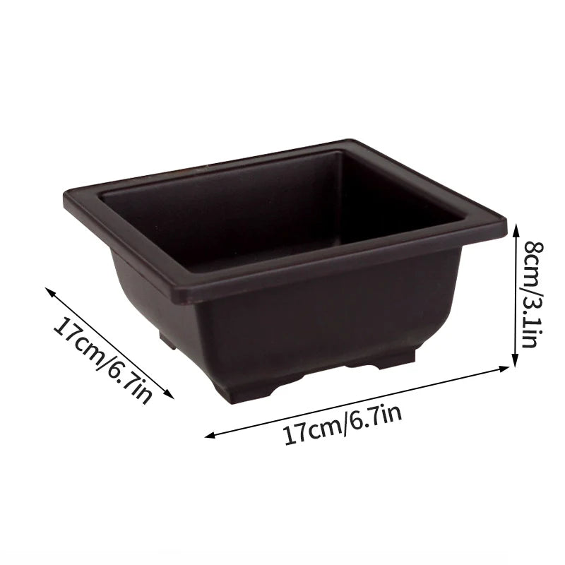 Bonsai Pot Trays Planter