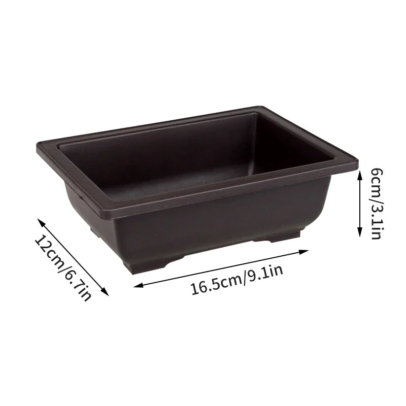 Bonsai Pot Trays Planter