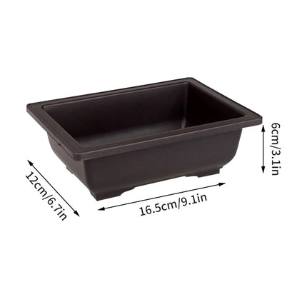 Bonsai Pot Trays Planter