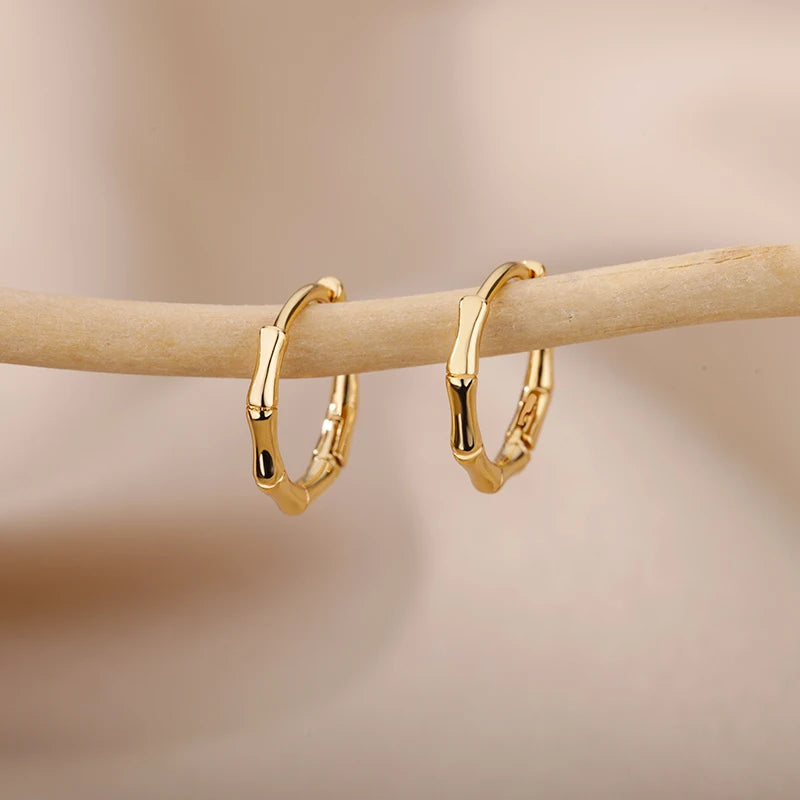 Minimal Style Luxury Earrings