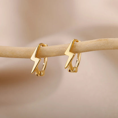 Minimal Style Luxury Earrings