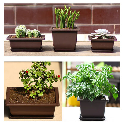 Bonsai Pot Trays Planter