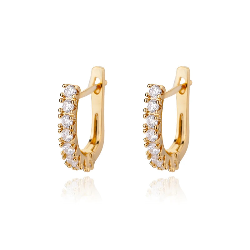 Minimal Style Luxury Earrings