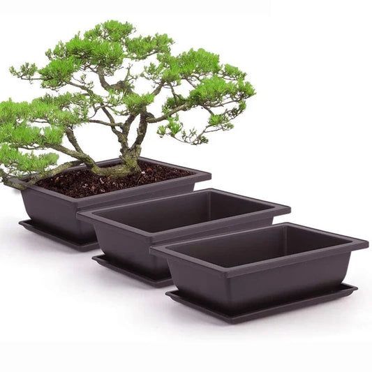 Bonsai Pot Trays Planter