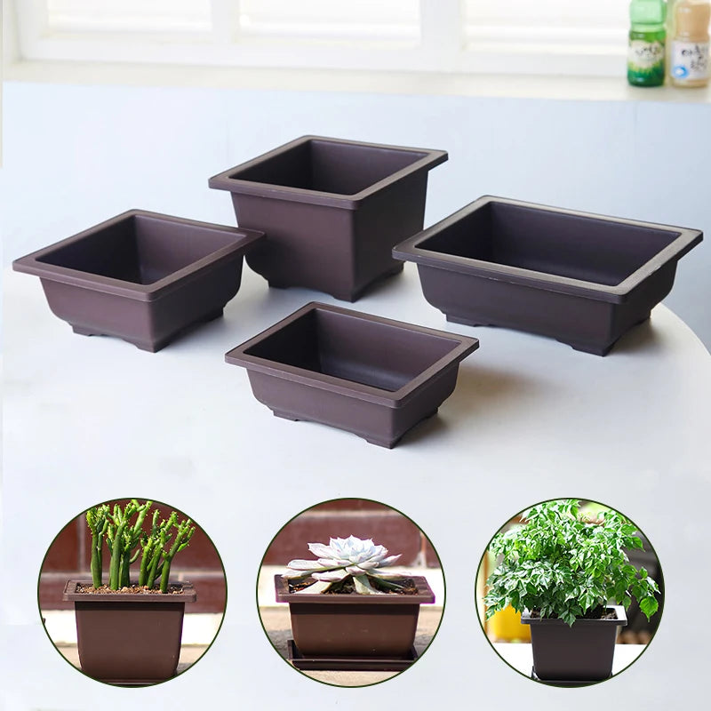 Bonsai Pot Trays Planter