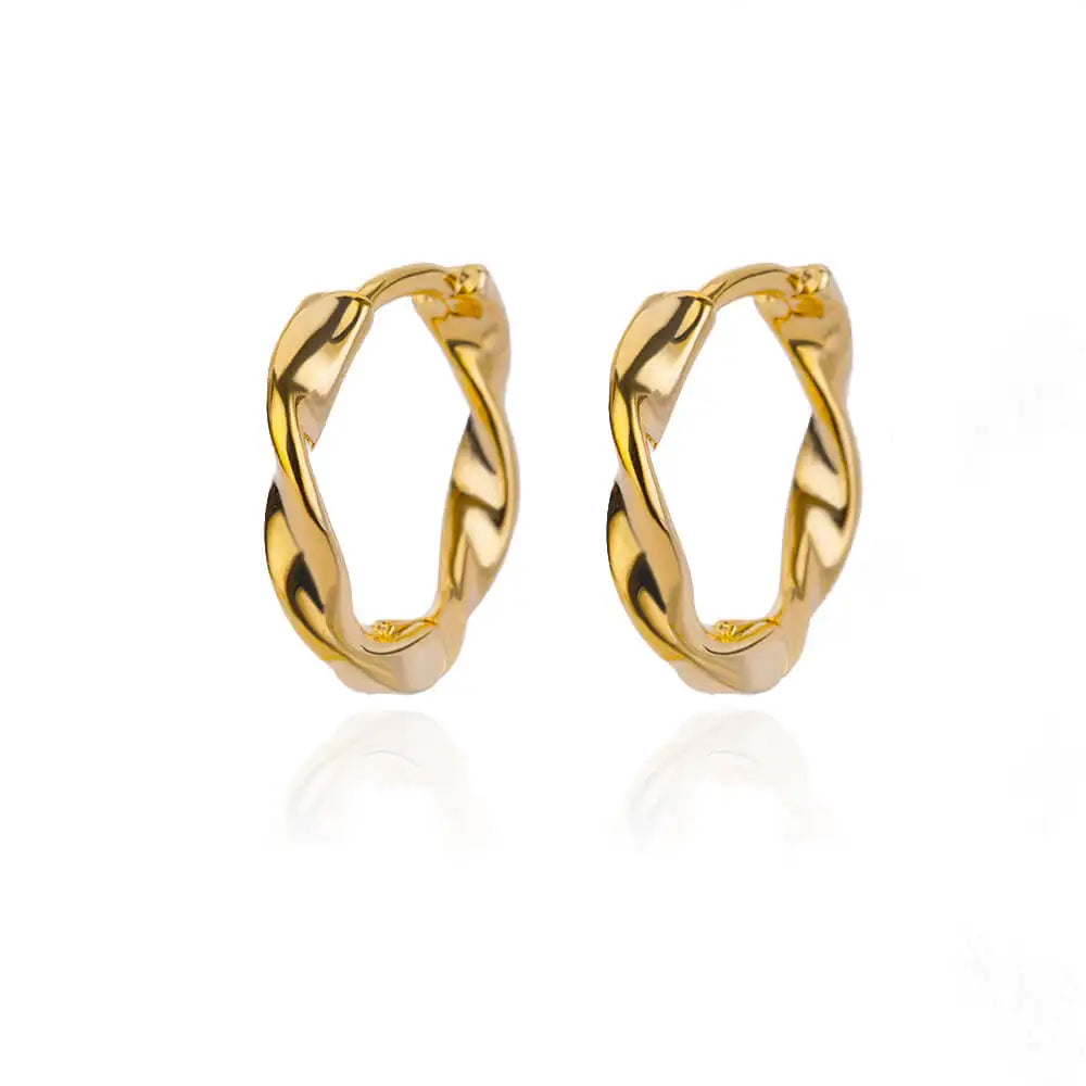 Minimal Style Luxury Earrings