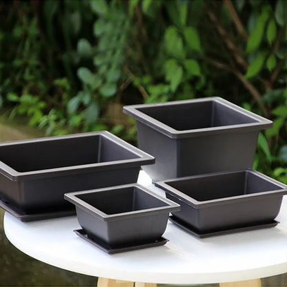 Bonsai Pot Trays Planter